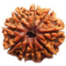 9 mukhi